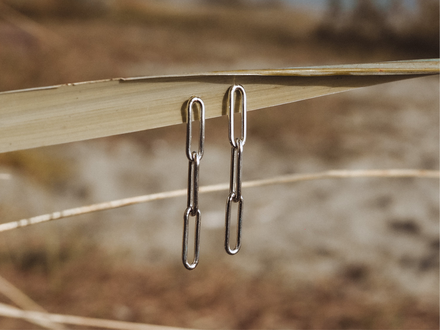Paperclip Earrings