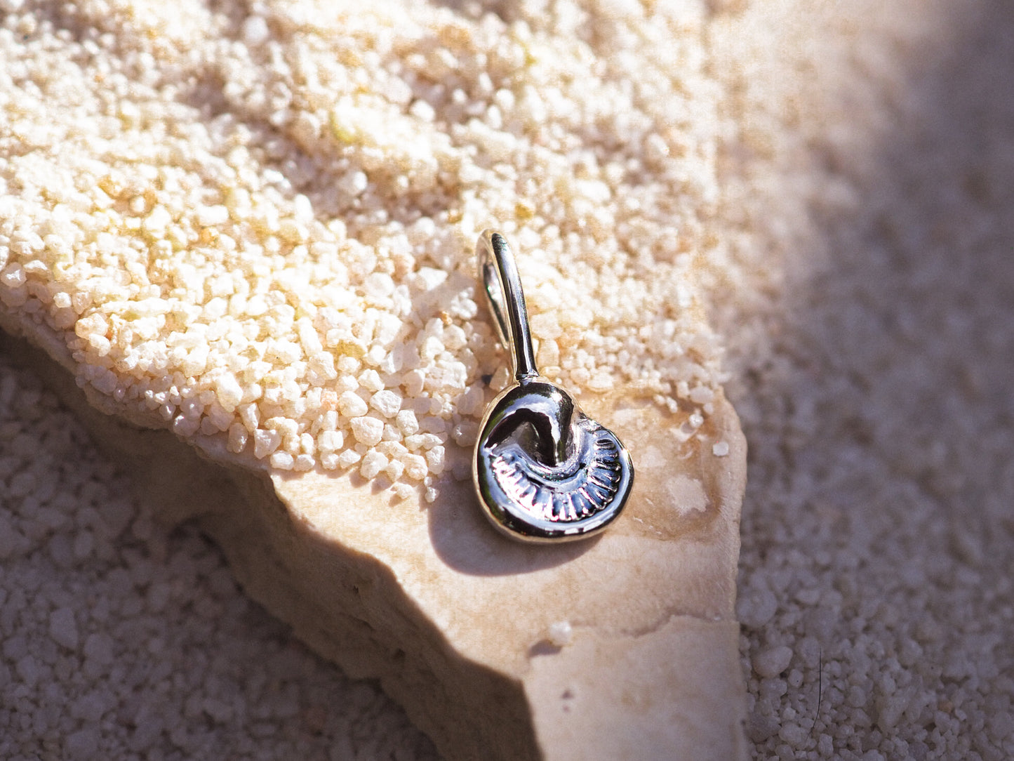 The Palm Charm 02