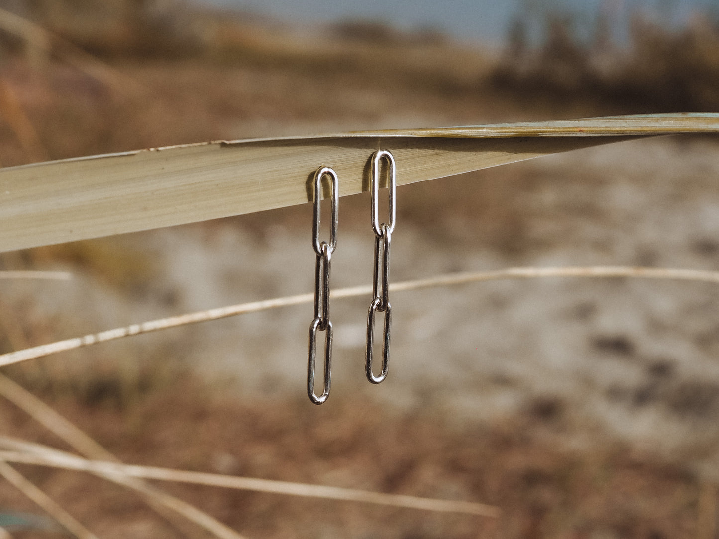 Paperclip Earrings