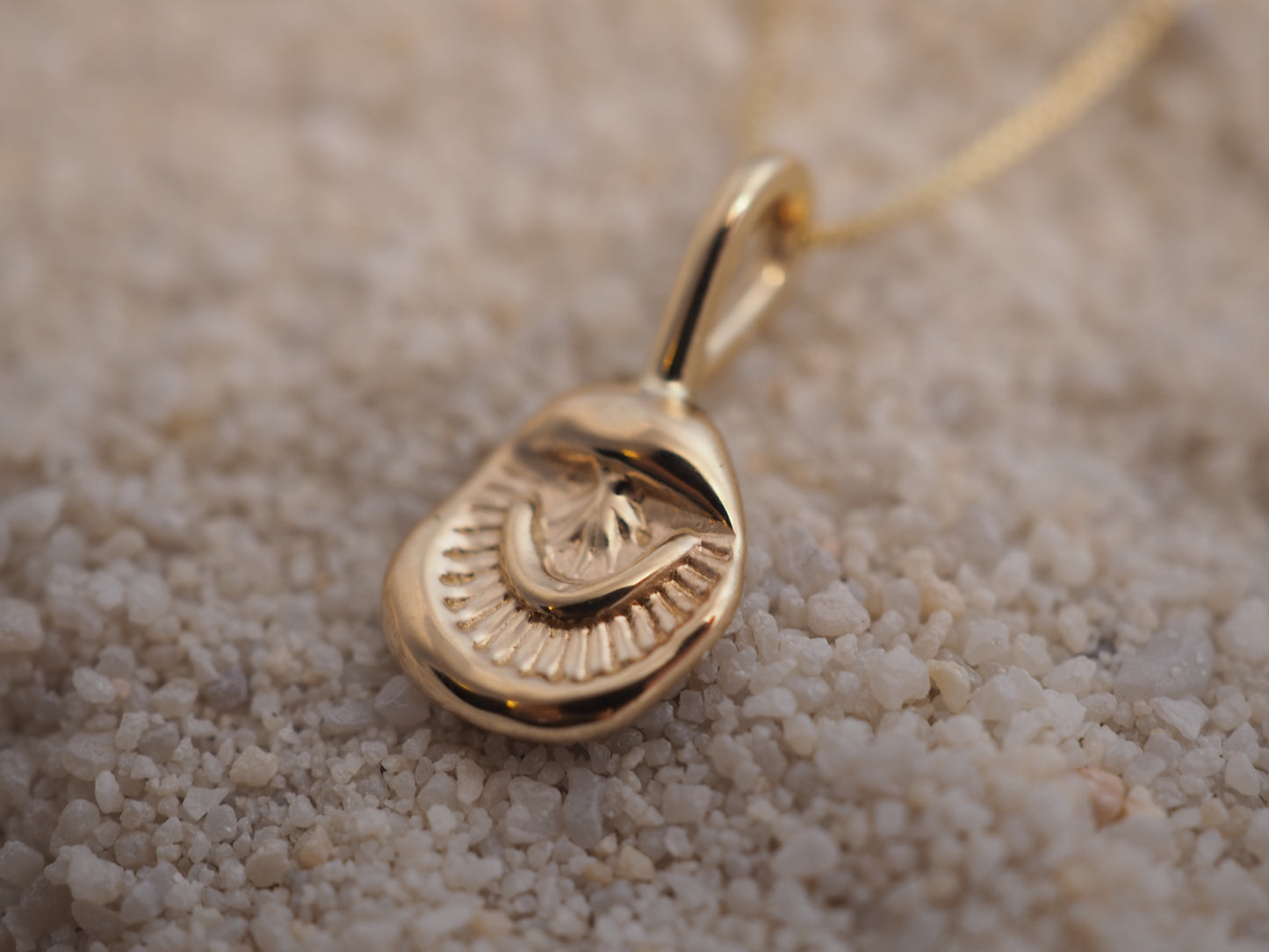 14k Shell Charm (Charm only)